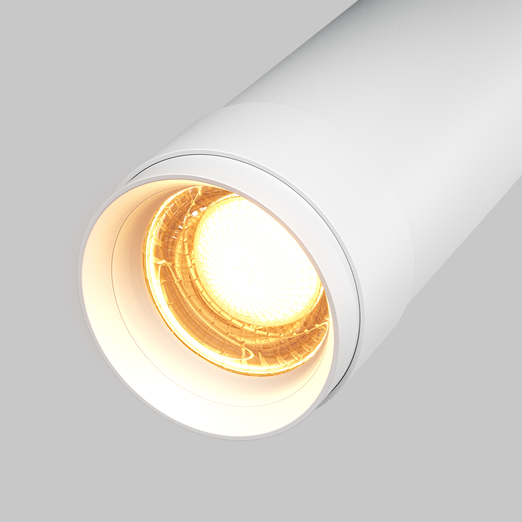 Потолочный светильник Technical C055CL-L12W2.7K-Z-W