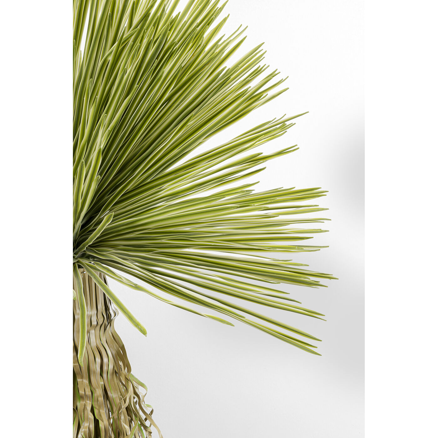 Растение декоративное Yucca 180 см KARE 55919
