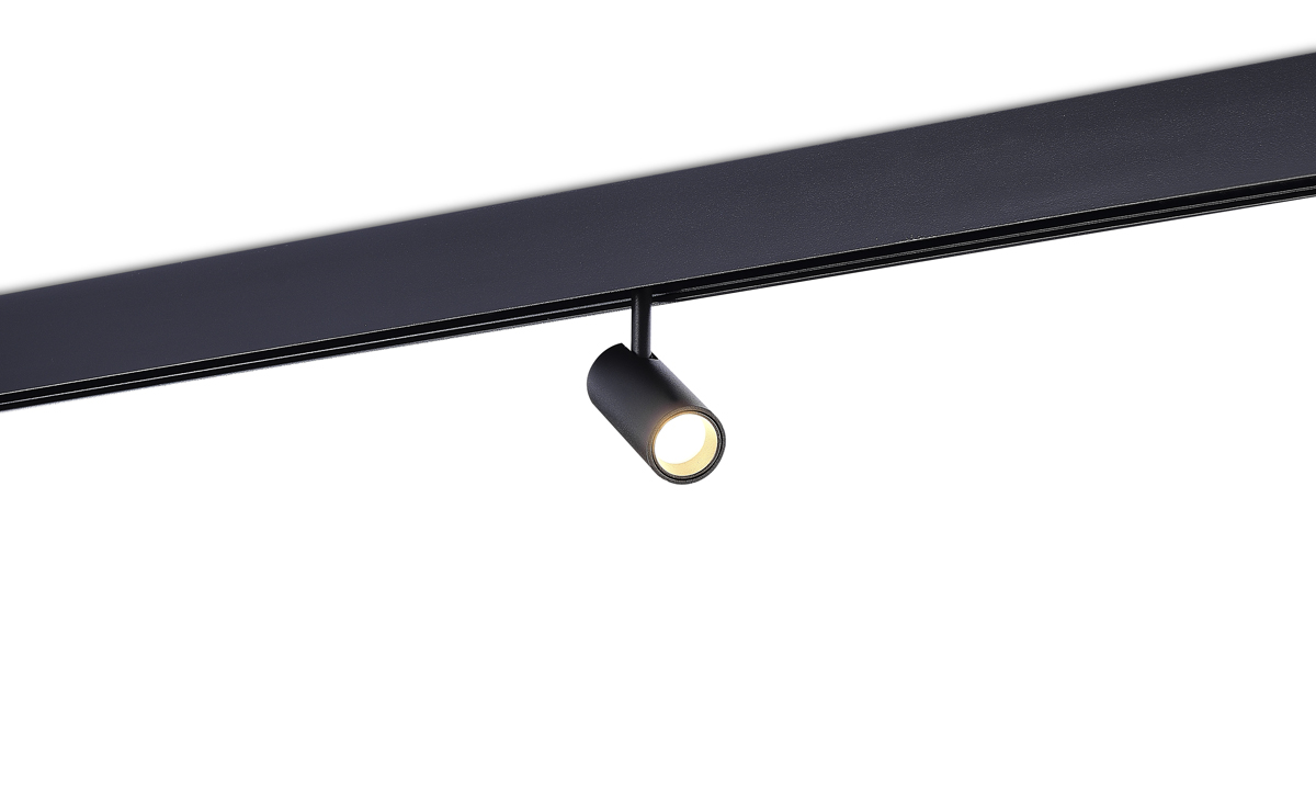 Светодиодный светильник Donolux DL20295NW5BND