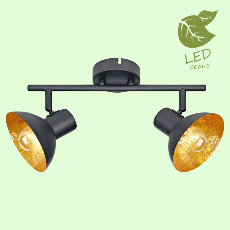 Спот Lussole LOFT GRLSP-9974