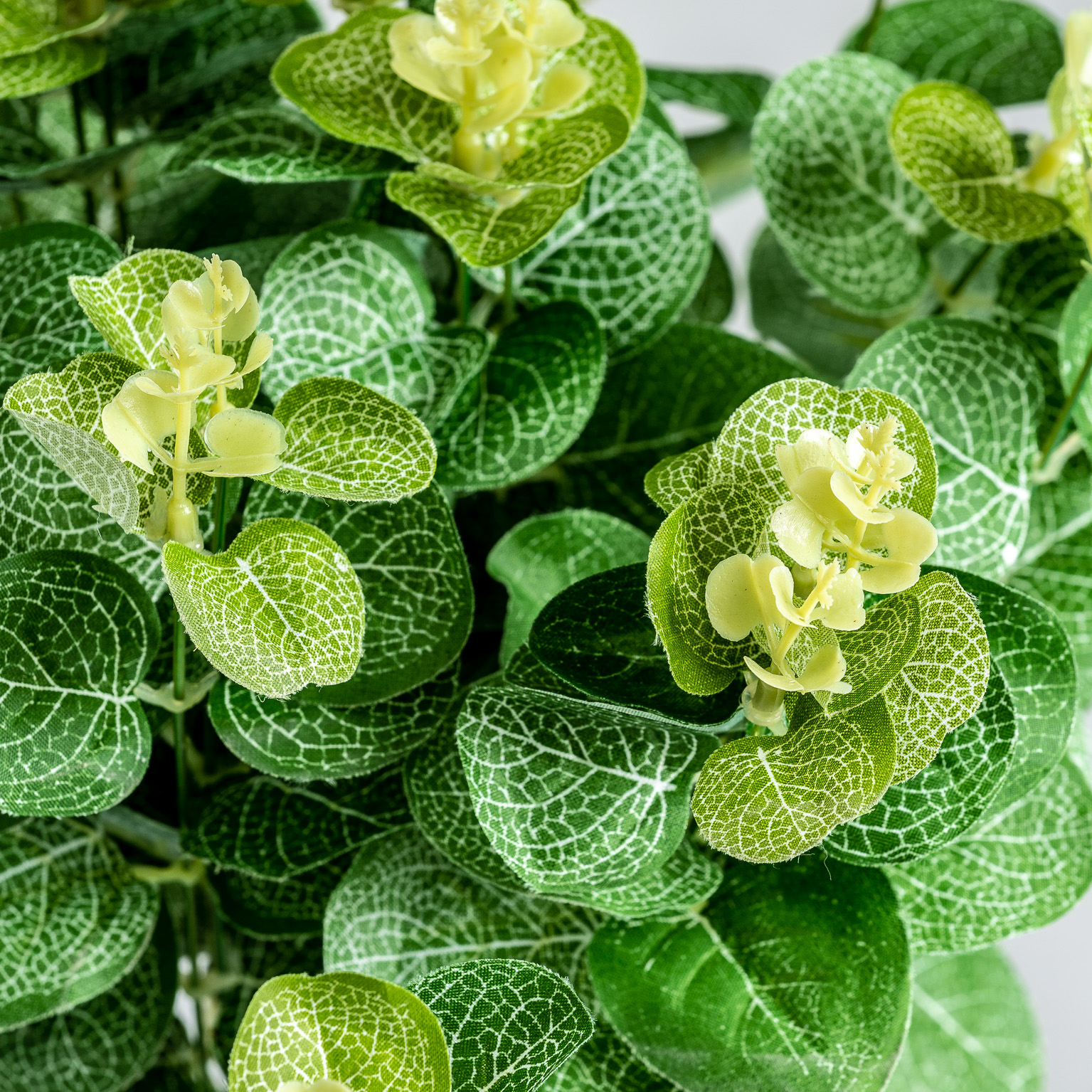 Растение в зеленом классическом стиле 26356 Vical