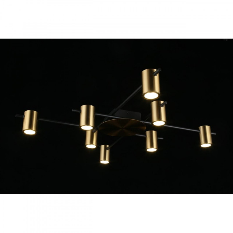 Накладная люстра APLOYT APL.633.07.08