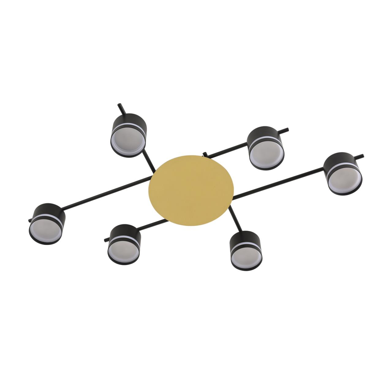 Светильник потолочный Lumion 8304/6C