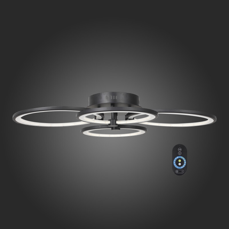 Накладной светильник ST Luce SL867.402.04
