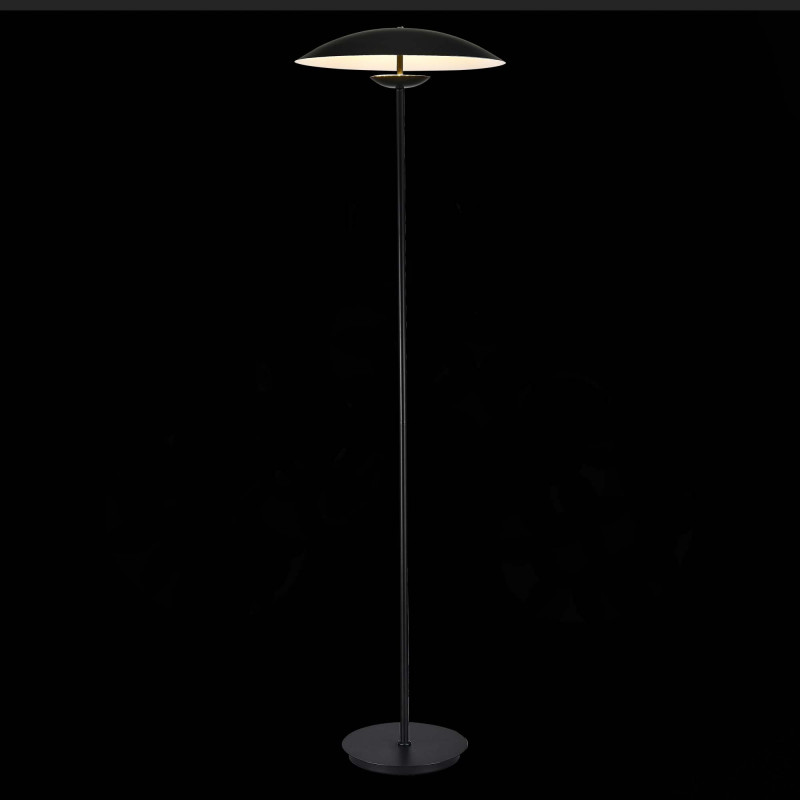 Торшер ST-Luce SL6502.405.01