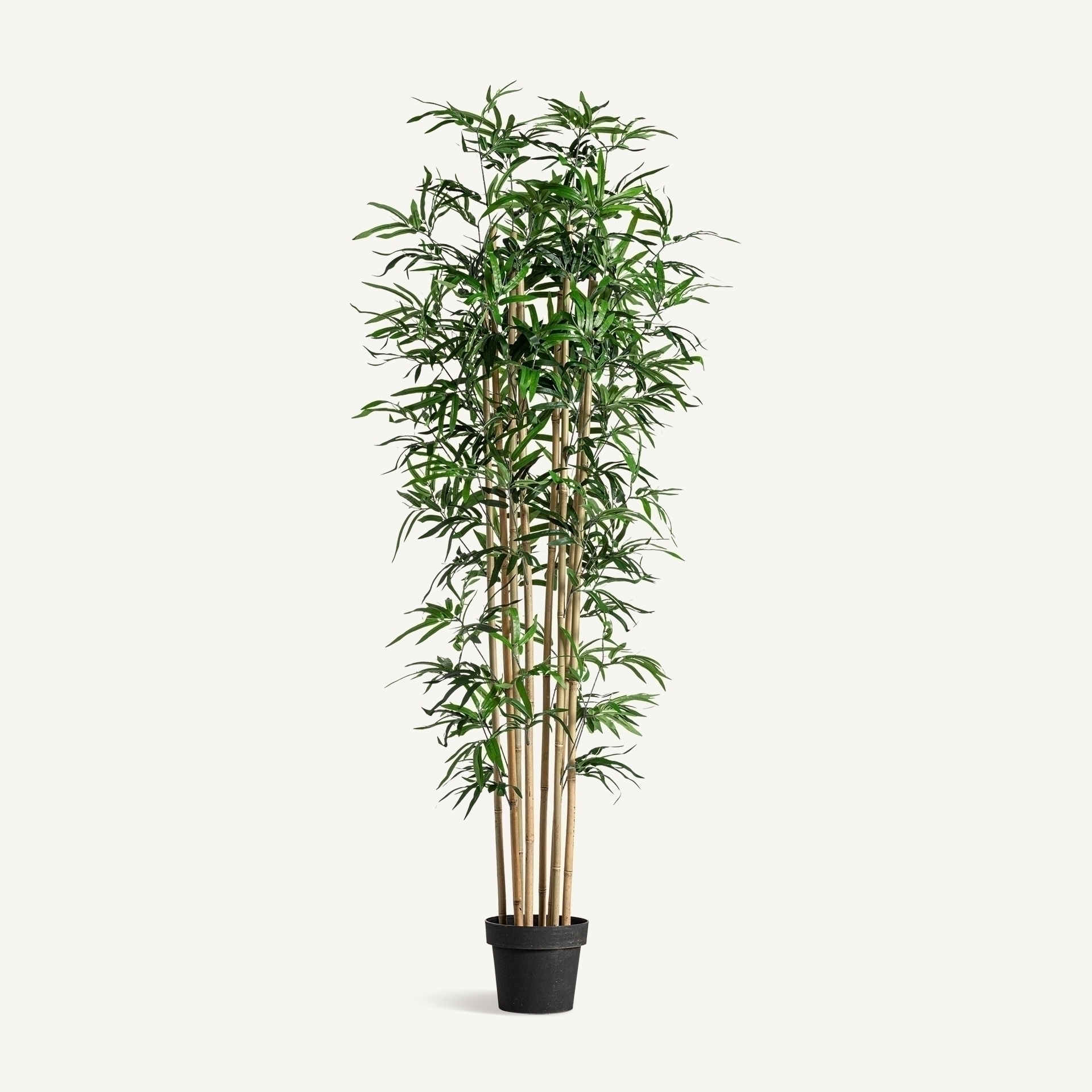 Искусственное растение BAMBU Vical