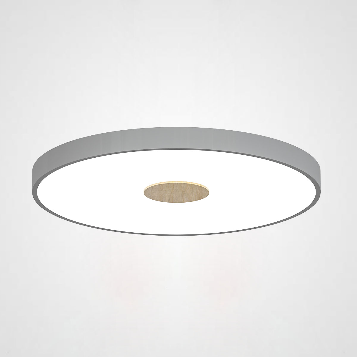 Потолочный светильник CENTRUM D40 Grey by ImperiumLoft