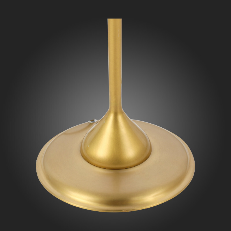 Торшер ST Luce SL1123.205.01