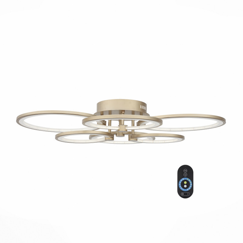 Накладной светильник ST Luce SL867.202.06