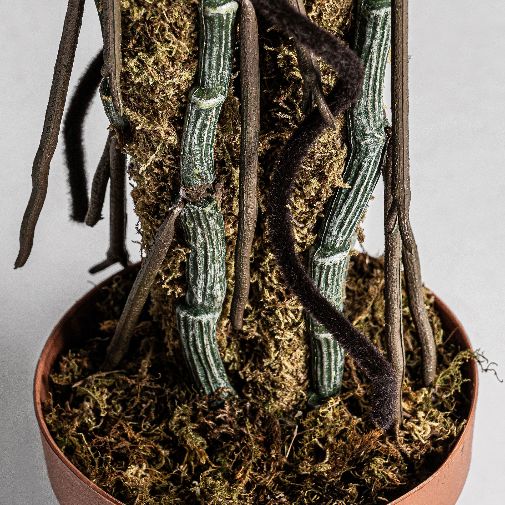 Искусственное растение SPLIT PHILO Vical