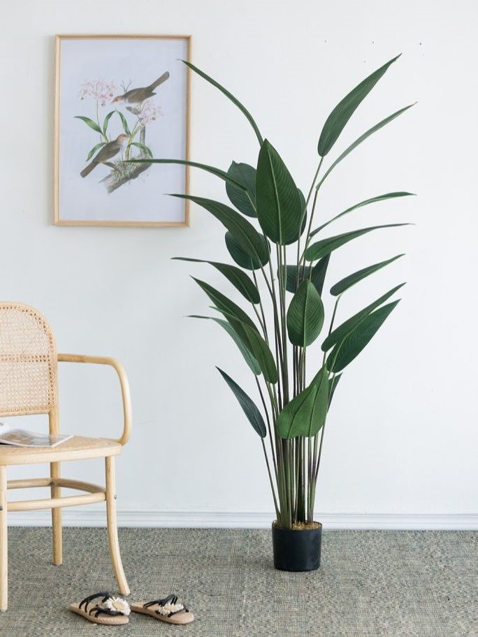 Растение декоративное Glasar SA11849-AB