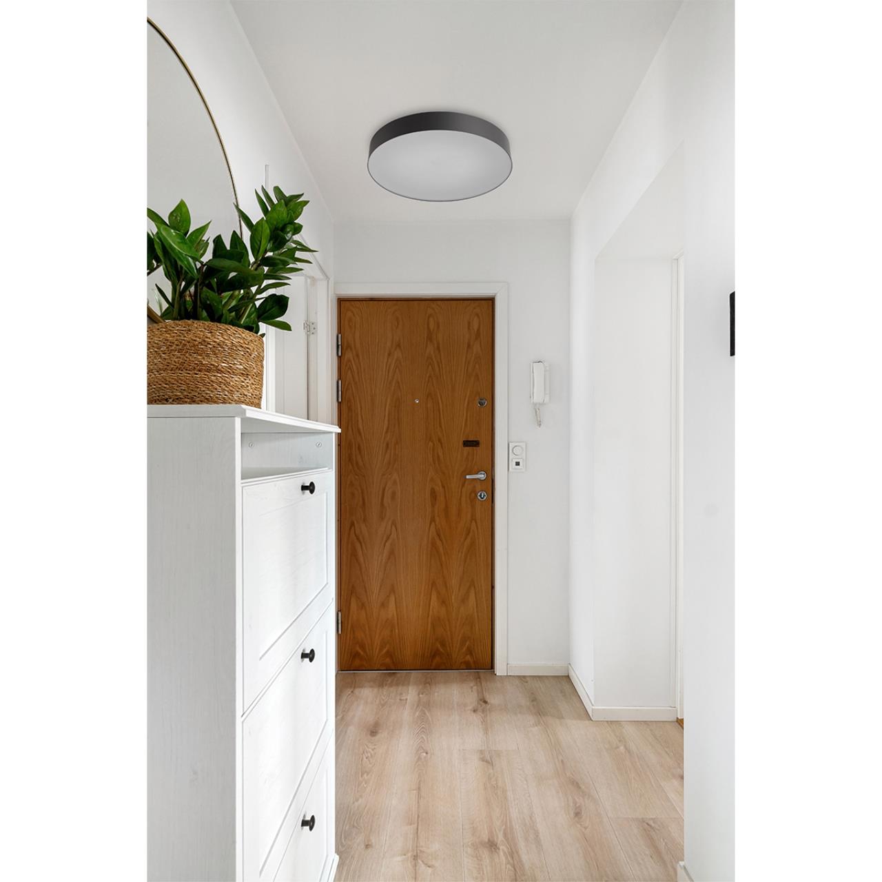 Настенно-потолочный светильник Sonex 7780/EL