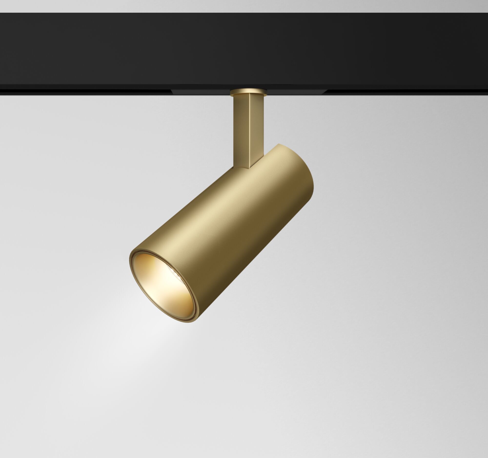 Трековый светильник Maytoni TR019-2-15W3K-MG