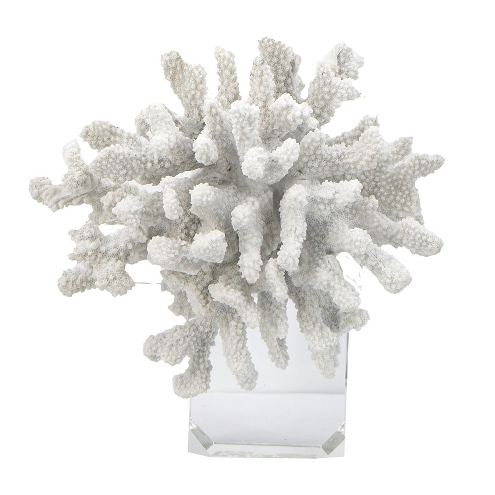 Декор Коралл Glasar 70303