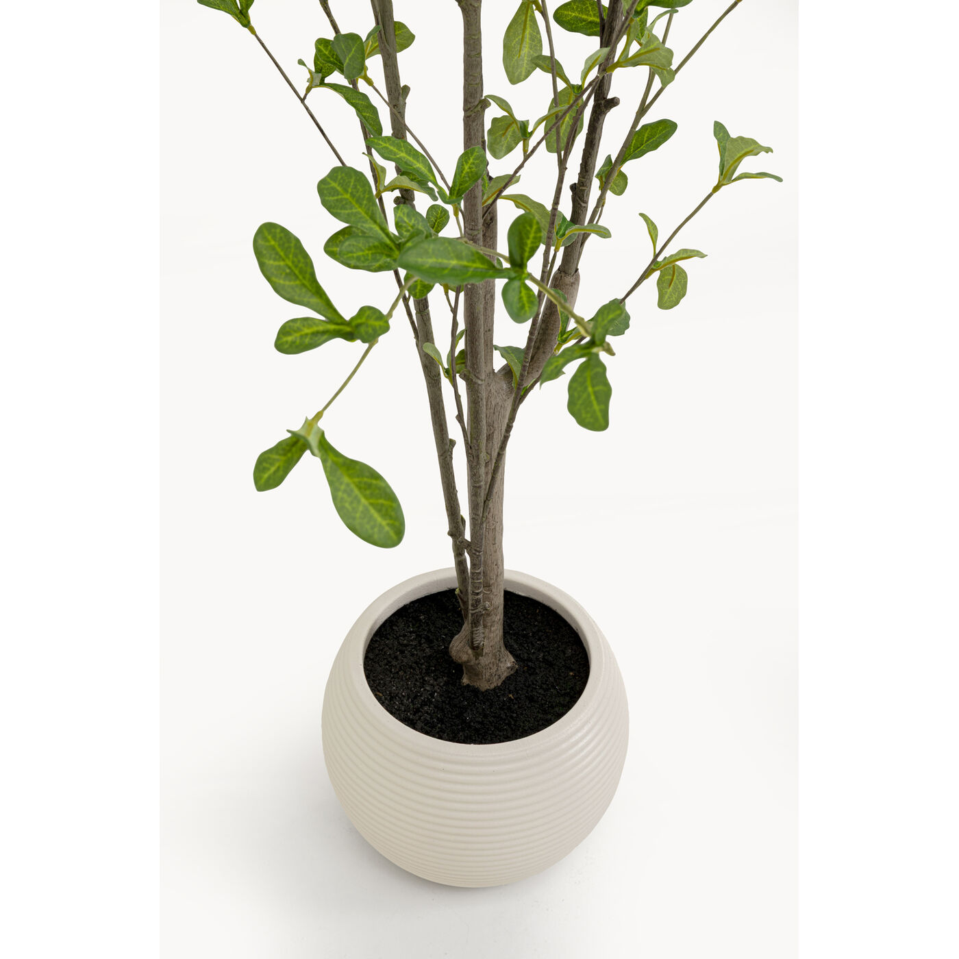 Растение декоративное PlumСумкаo Tree 152cm KARE 57947