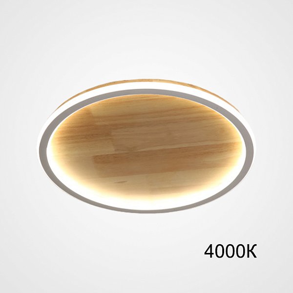 Потолочный светильник DOLAN D40 4000К by ImperiumLoft