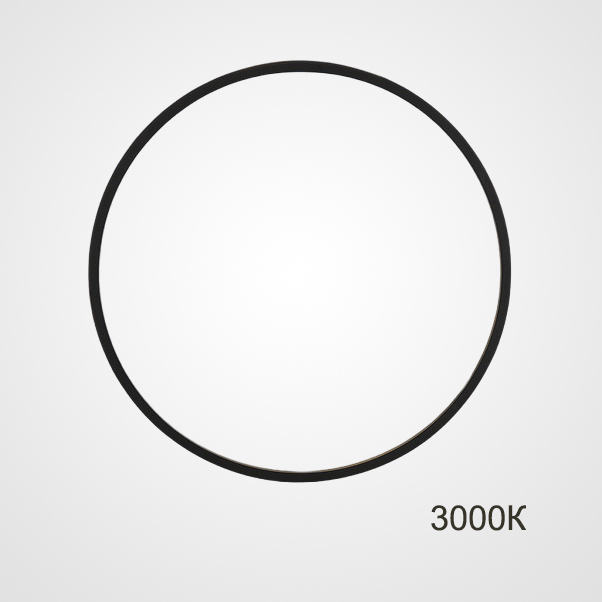 Настенный светильник GUARD D120 3000К by ImperiumLoft