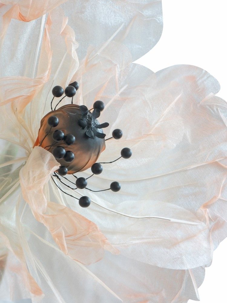 Растение декоративное Мак Glasar F98605