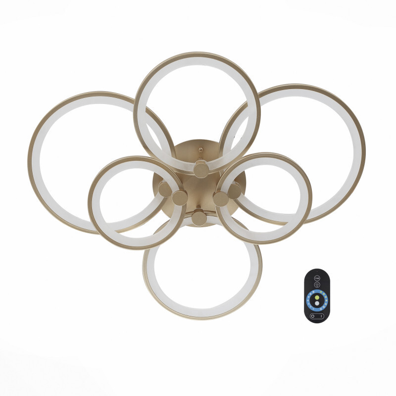 Накладной светильник ST Luce SL867.202.06