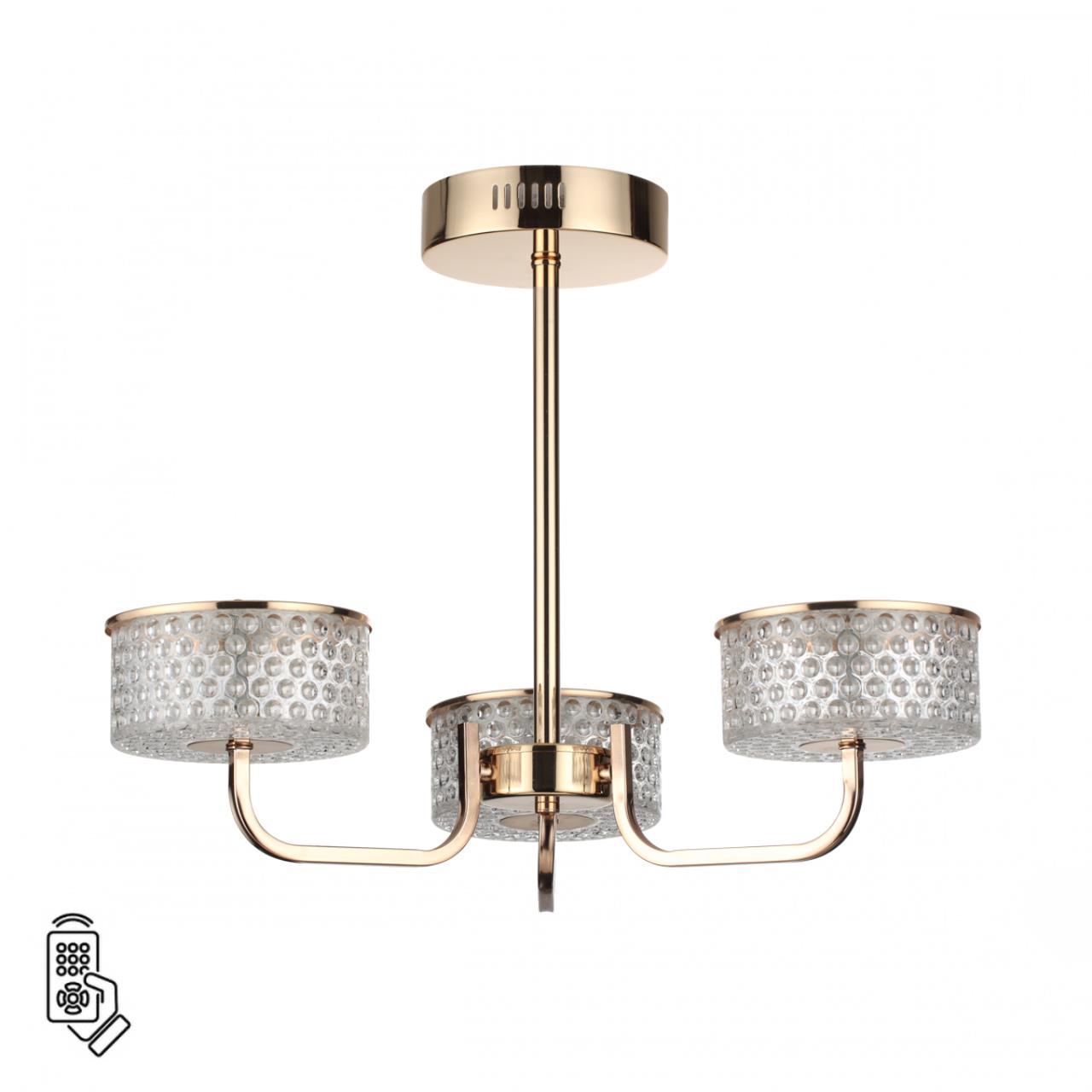 Люстра на штанге Lumion 6579/40CL