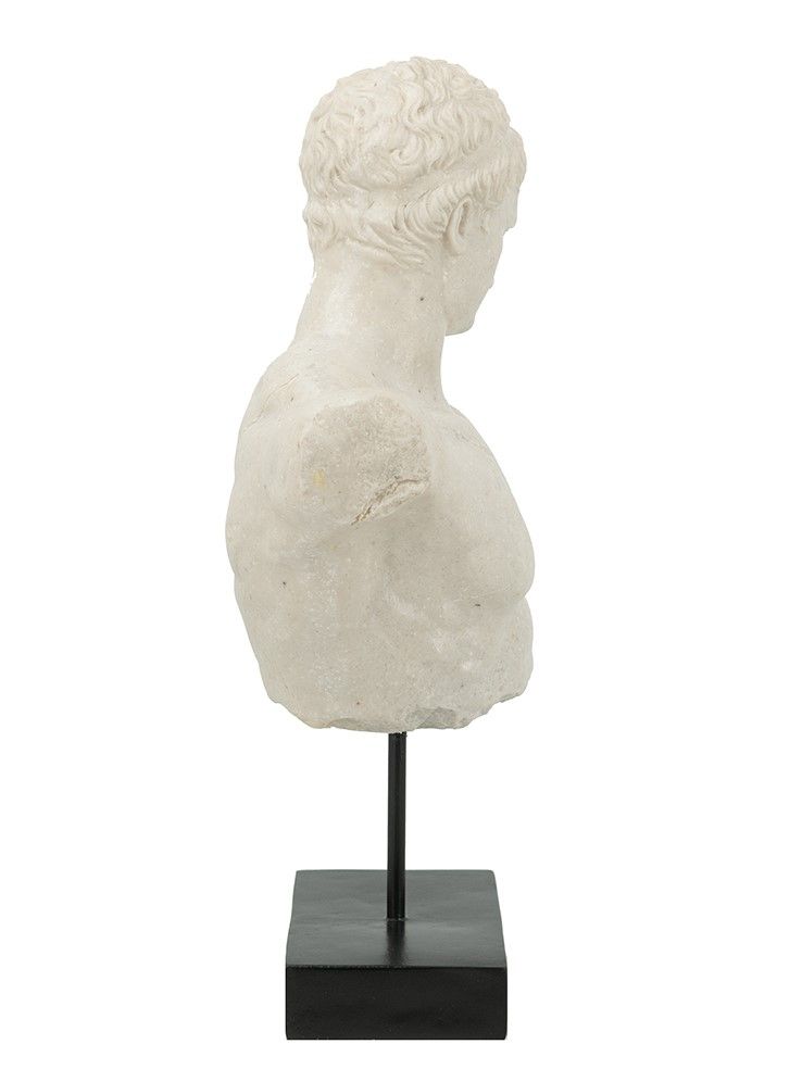 Декор настольный Бюст на подставке Glasar B5513