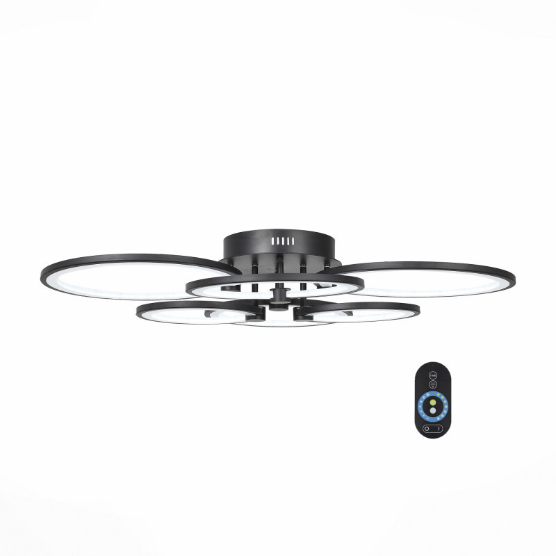 Накладной светильник ST Luce SL867.402.06