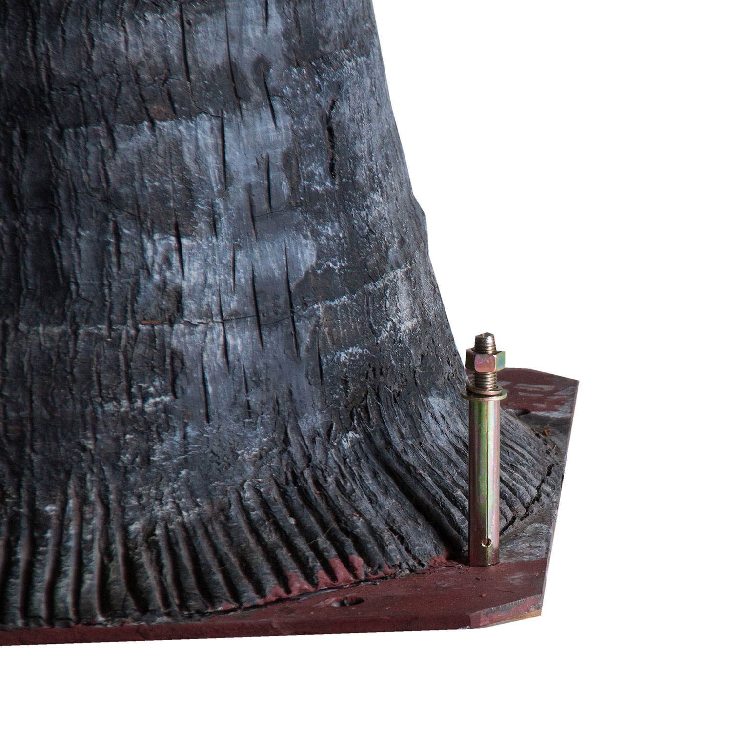 Пальма PALMERA Vical