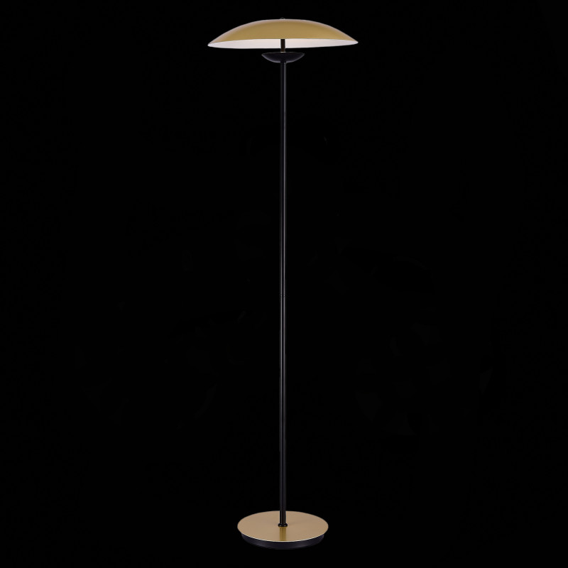 Торшер ST-Luce SL6502.205.01