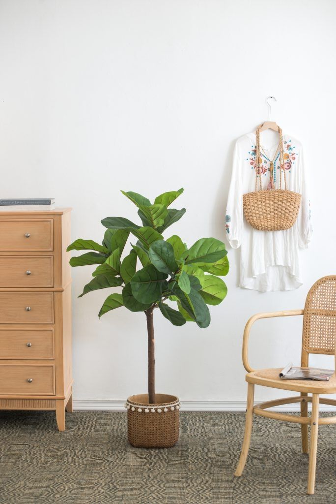 Дерево декоративное Фиговое Glasar SA11852-DS-AB