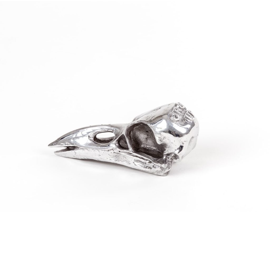 Статуэтка Seletti Wunderkammer Bird Skull 10895