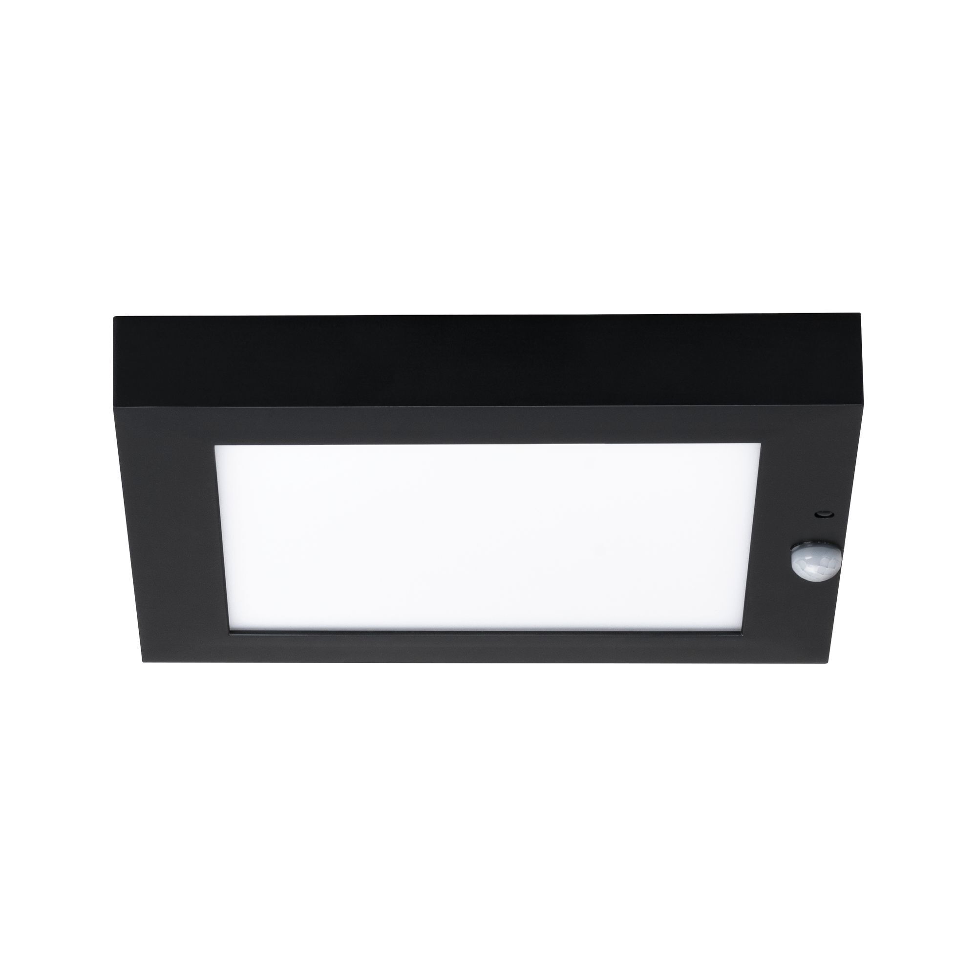 Уличный светильник Paulmann 94254