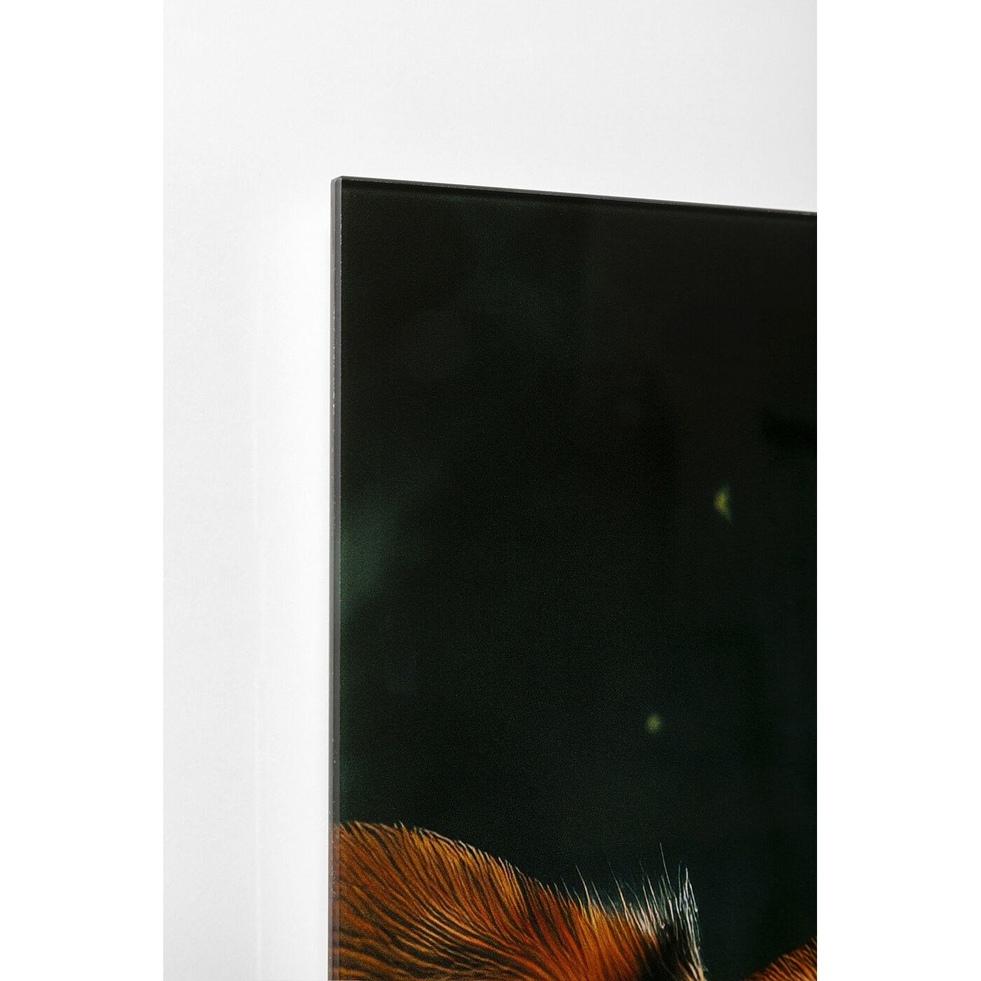 Картина стеклянная Astronauts Dogs 80x60 см KARE 56276