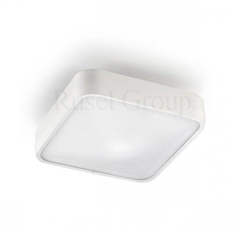 Потолочный светильник Leds C4 RAS PL