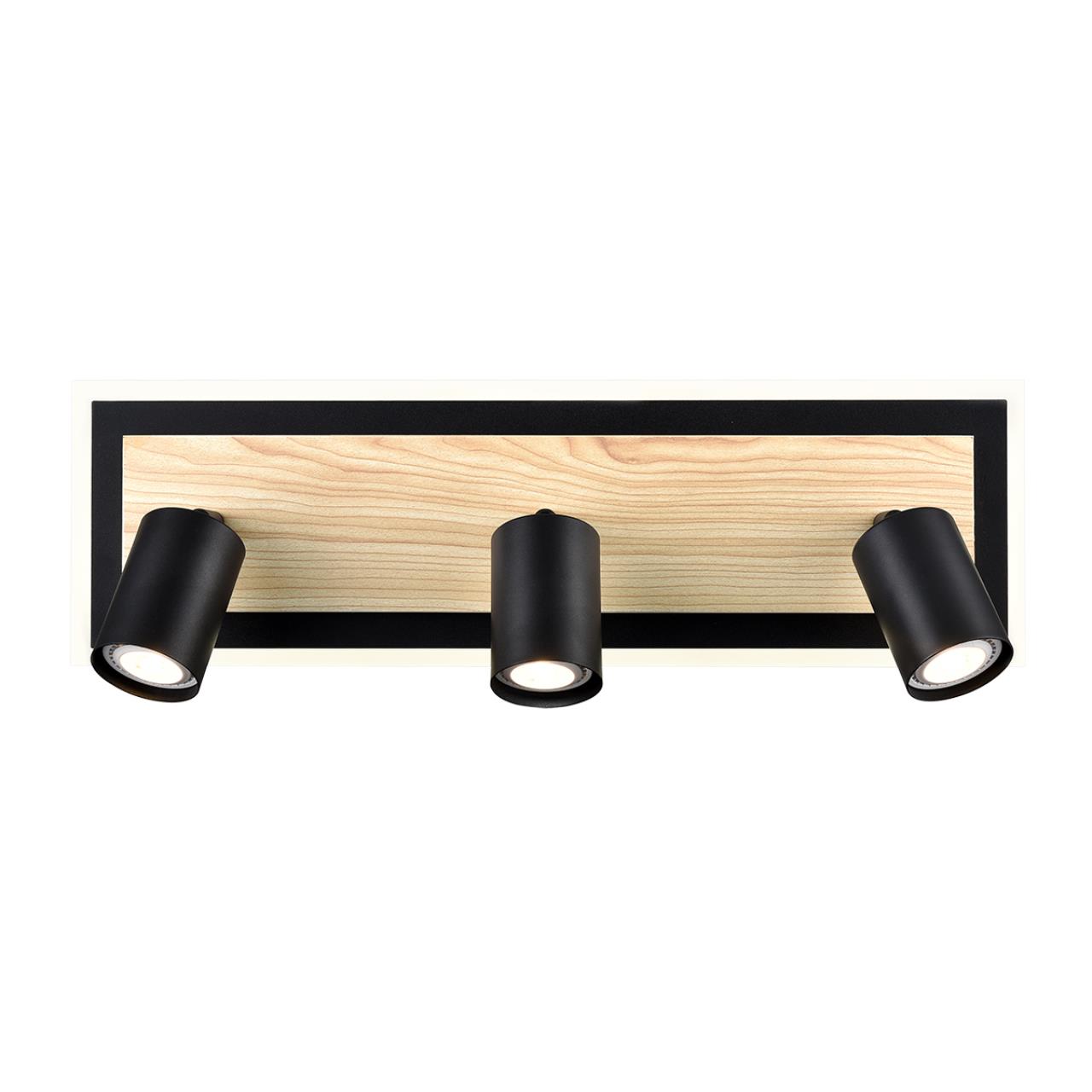 Светильник настенный Lumion 8025/20WL