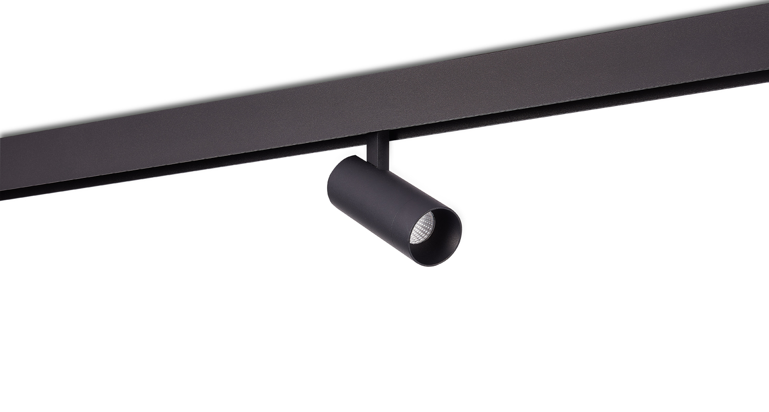 Светодиодный светильник Donolux DL20295TW10BTuya