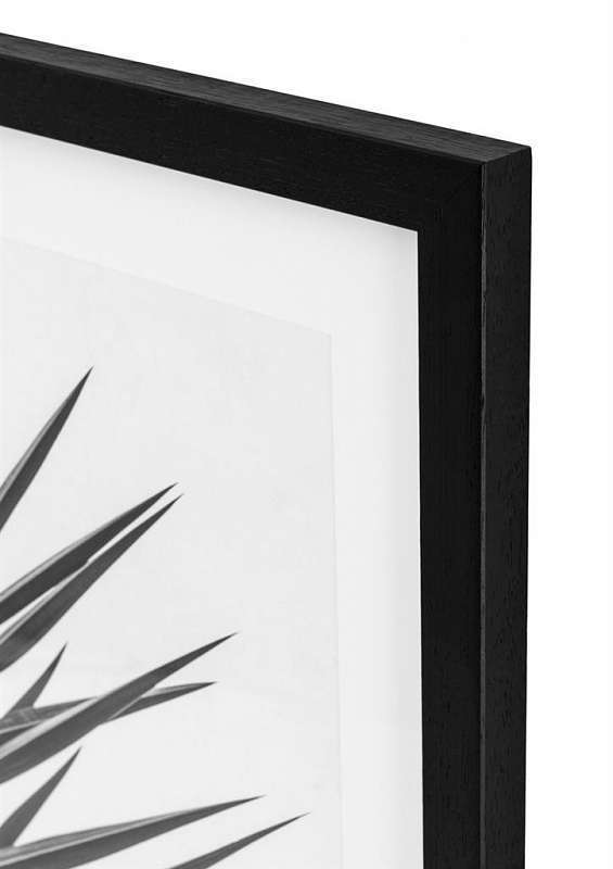 Постер Eichholtz Prints Palm Leaves 112195