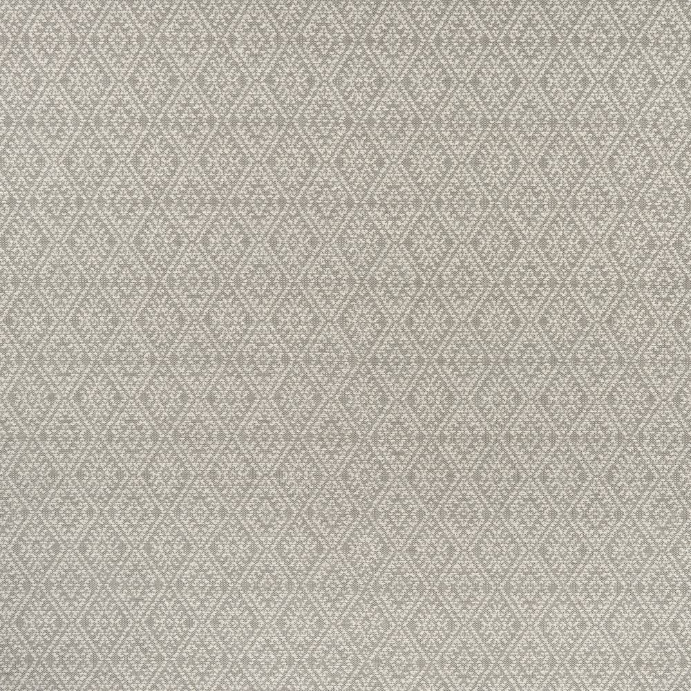 Текстиль Clarke & Clarke Halcyon F1005/02