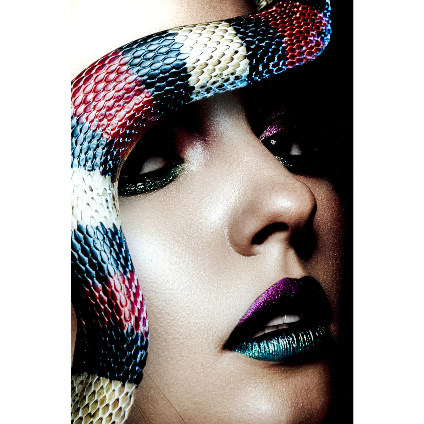 Картина Snake 53079 Kare