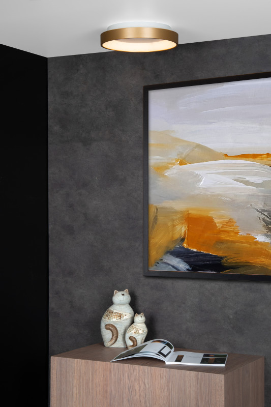 Накладной светильник LUCIDE 46103/20/02