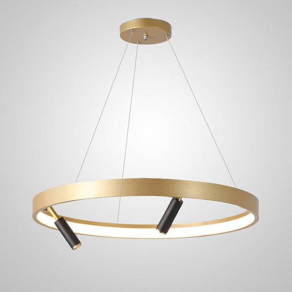 Подвесная люстра RAPID CH D60 Brass Black by ImperiumLoft