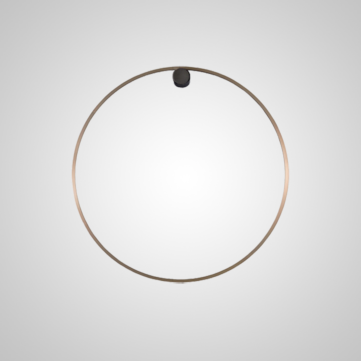 Настенный светильник WILD RING A D50 Brass by ImperiumLoft