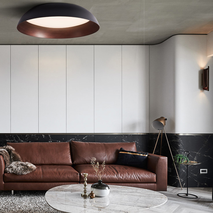 Потолочный светильник BARBO D55 Трехцветный свет by ImperiumLoft