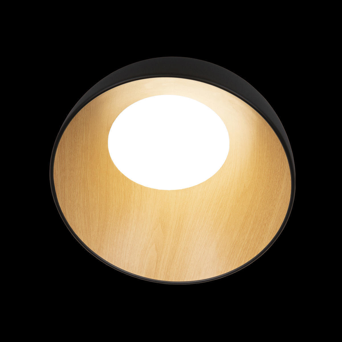 Потолочный светильник LOFT IT Egg 10197/350 Black
