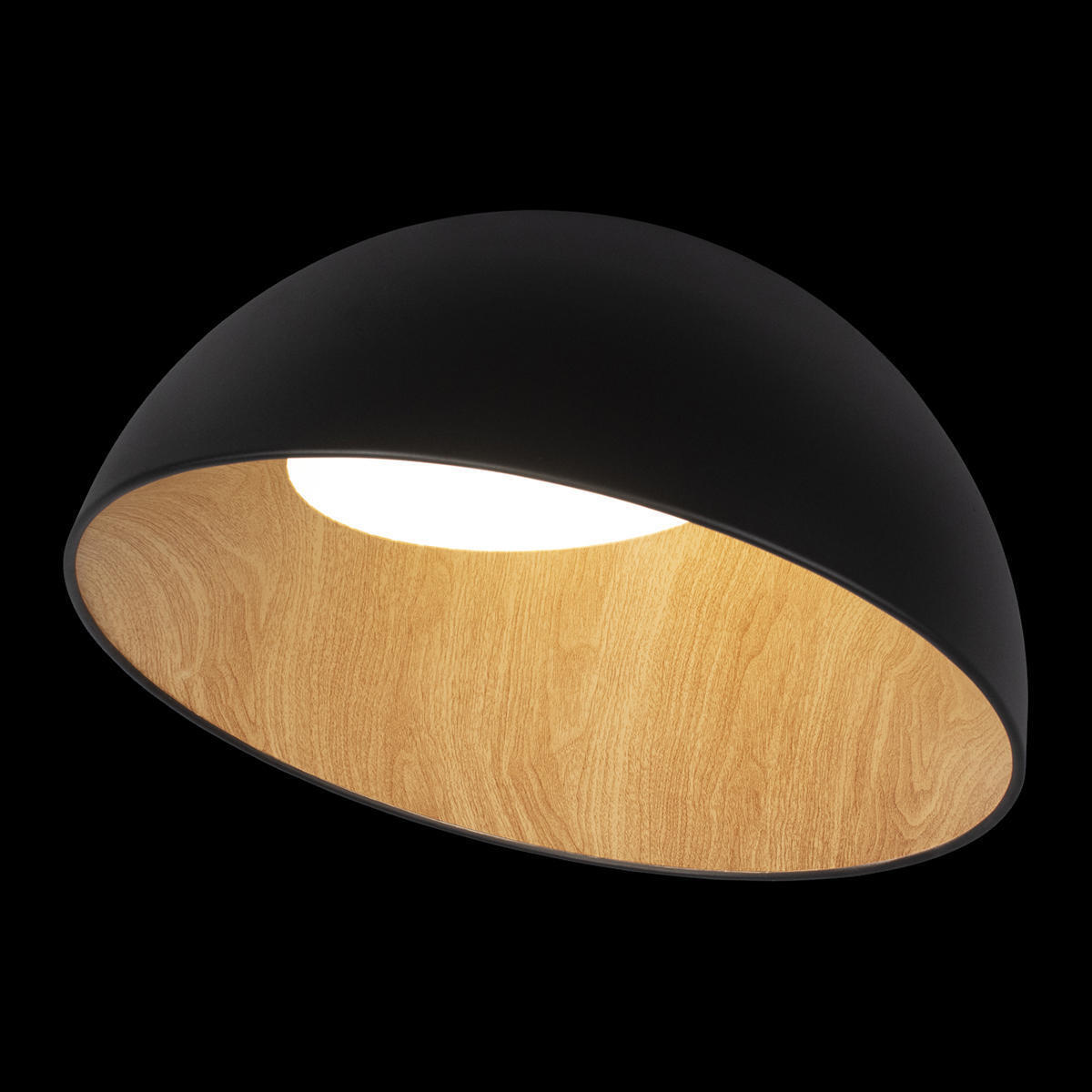 Потолочный светильник LOFT IT Egg 10197/500 Black