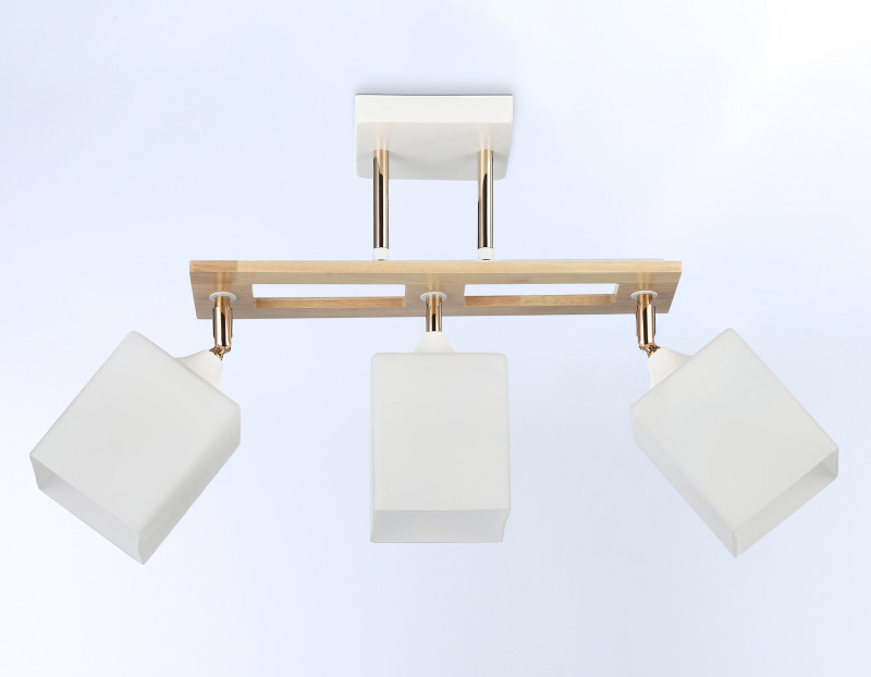 Накладной светильник Ambrella Light TR9505