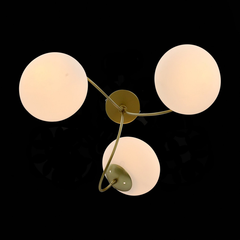 Накладная люстра Evoluce SL717.202.03