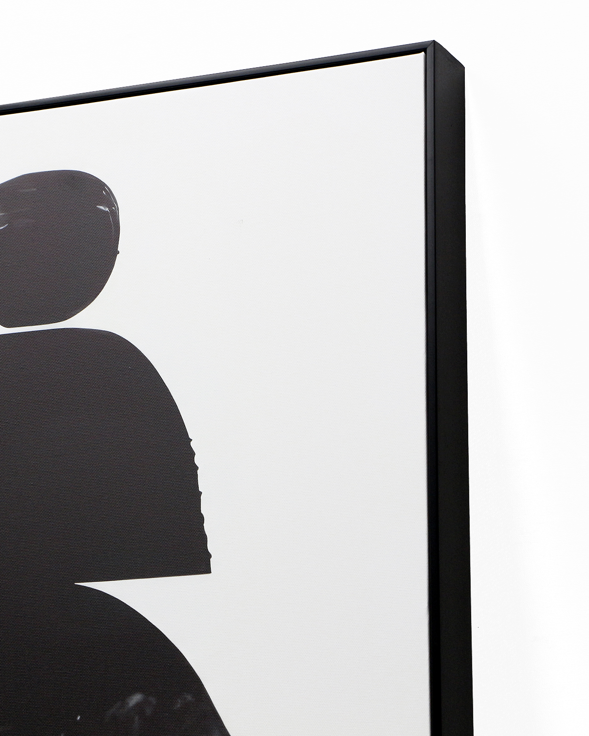 Интерьерное жикле Minimal Plant Louvre Home DCP070924VHS