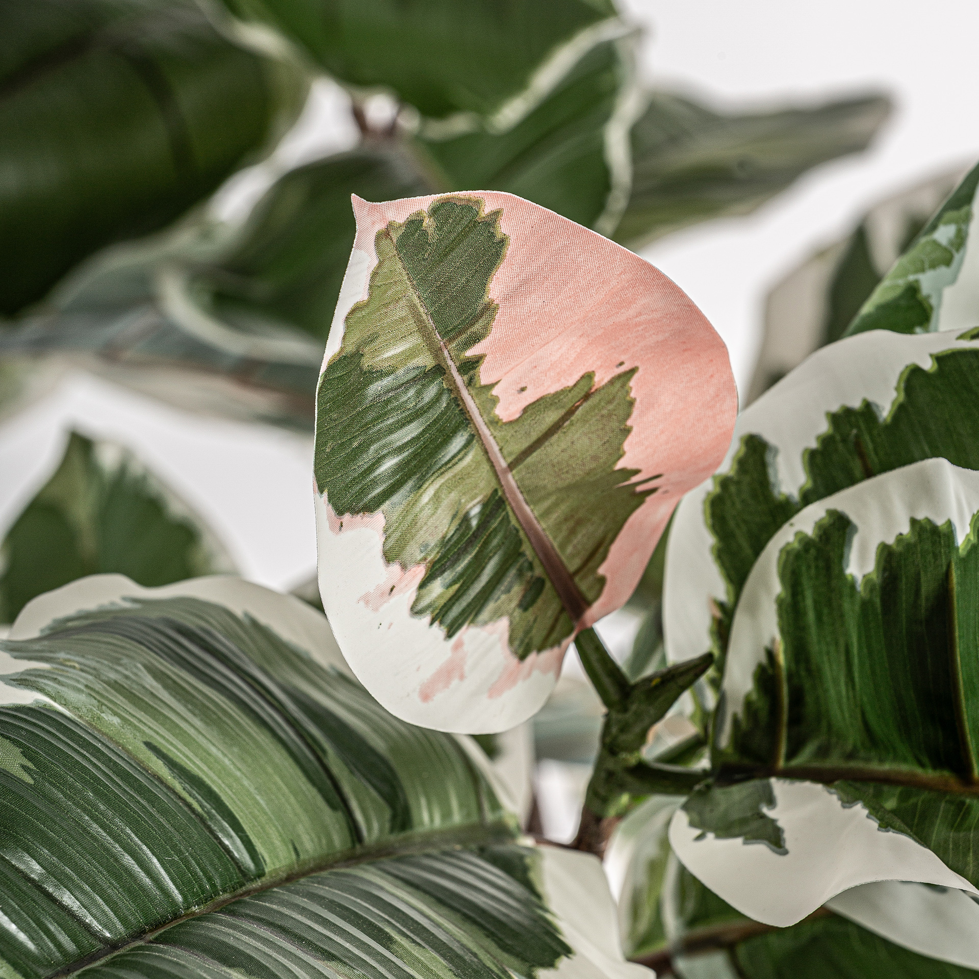 Искусственное растение ROBLE BLANCO Vical