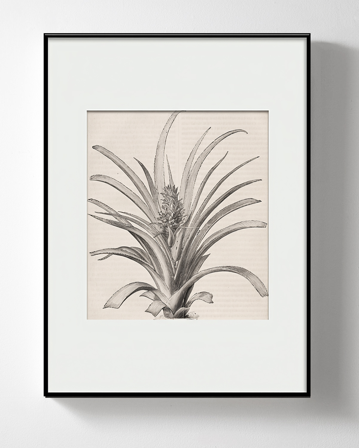 Интерьерный постер “Pineapple” Louvre Home PP230225