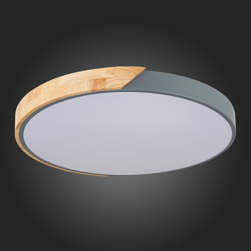 Накладной светильник Evoluce SLE200972-01